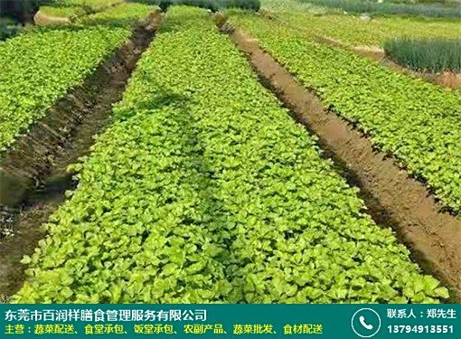 清溪单位蔬菜配送中心报价图片预览大全