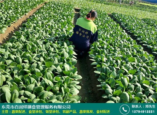 清溪单位蔬菜配送中心报价图片预览大全