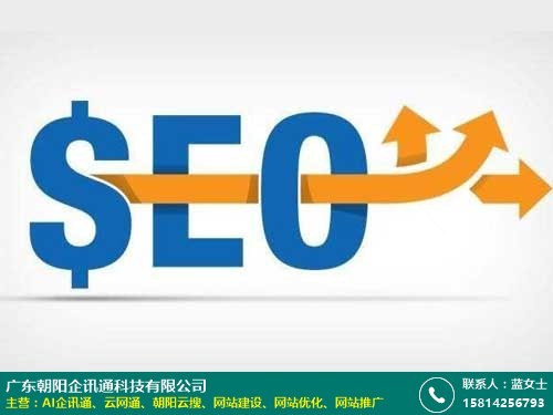 汕尾专业网站优化什么价格的图片
