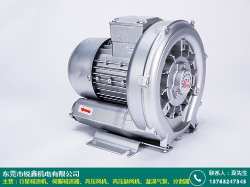 珠海环形漩涡气泵生产商厂家直销 锐鑫机电