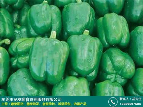 菜欢喜平台：以数字化与严管控重塑东莞寮步食堂蔬菜配送安全新标杆
