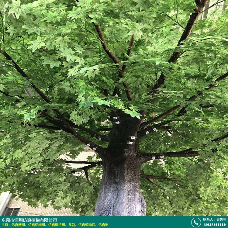 仿真马蹄莲_仿真万年青盆栽加工_恒翔