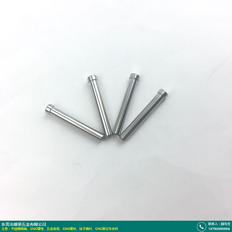 不锈钢销轴的图片