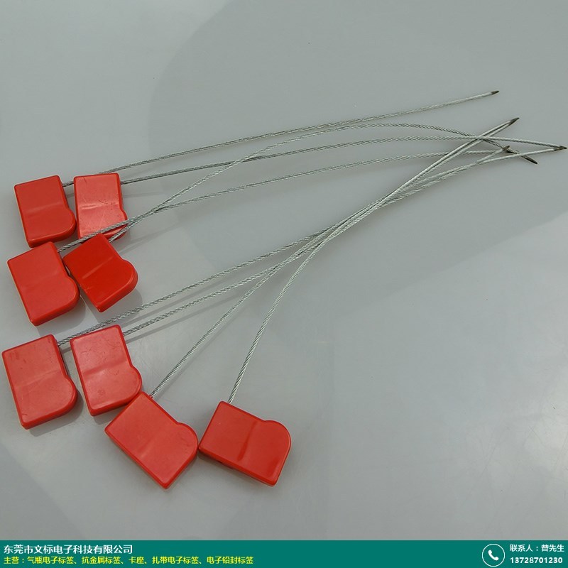 无锡电子铅封标签_文标电子_rfid_水表_物流_电子_智能