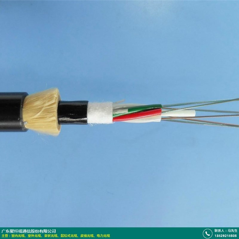 电子元器件 通信线缆 光缆 48芯层绞式光缆哪家好_聚纤缆_288芯_gyta