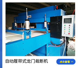 Support the processing of DY-012 automatic feeding cutter blanking machine full-automatic die-cutting machine facial mask