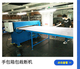 Support the processing of DY-012 automatic feeding cutter blanking machine full-automatic die-cutting machine facial mask