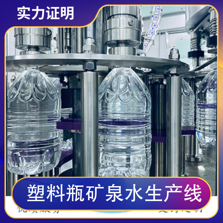 Plastic Bottle Mineral Water Production Line Order No. 333 Type Blowing Bottle Machine Voltage 380V