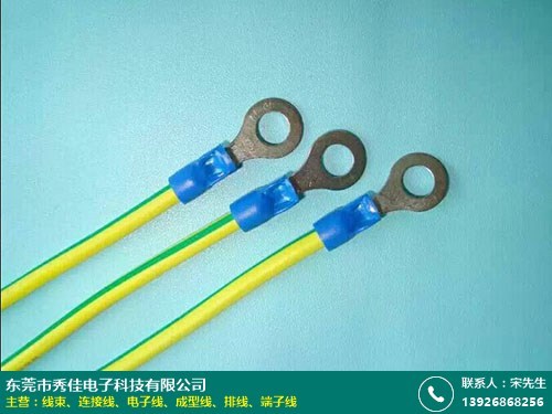 端子线的图片