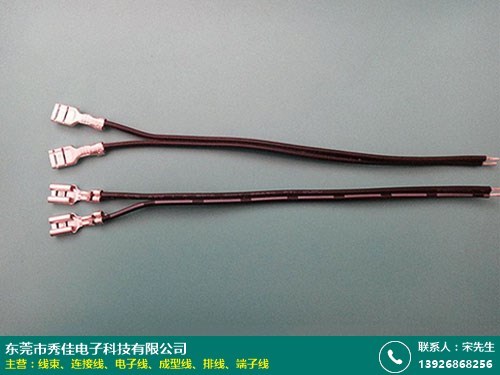 端子线的图片