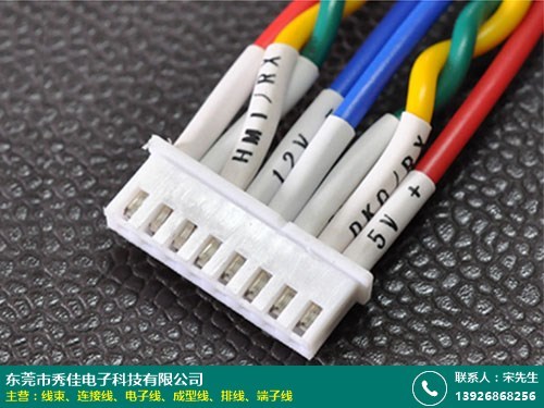 线束的图片