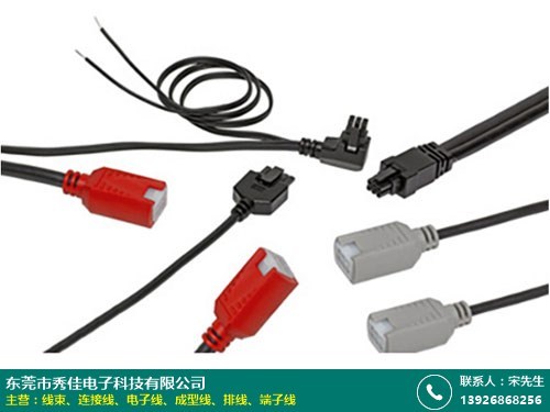 钦州线束工厂的图片