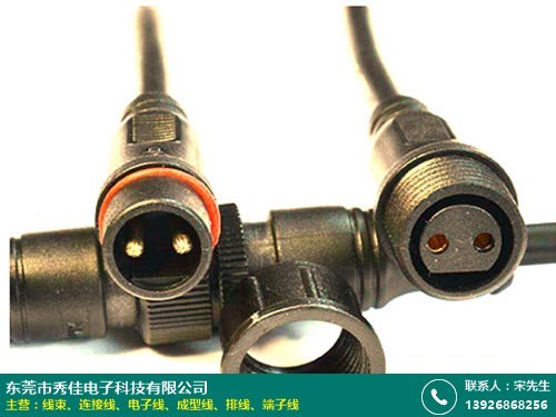 线束的图片