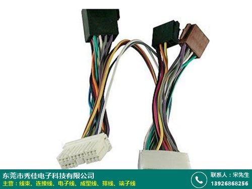钦州线束工厂的图片