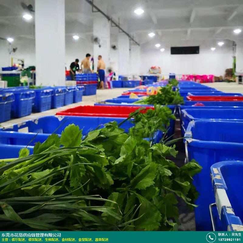 免费报价免费送货上门东莞食堂蔬菜配送！