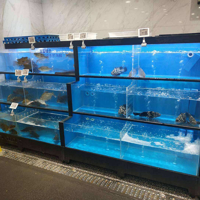 深圳定做超市海鲜池图片